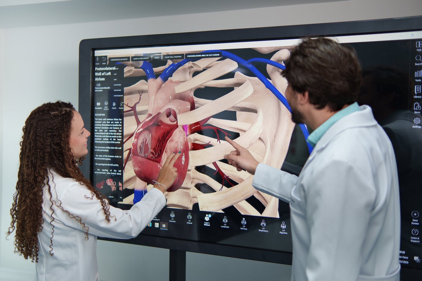 Anatomia digital