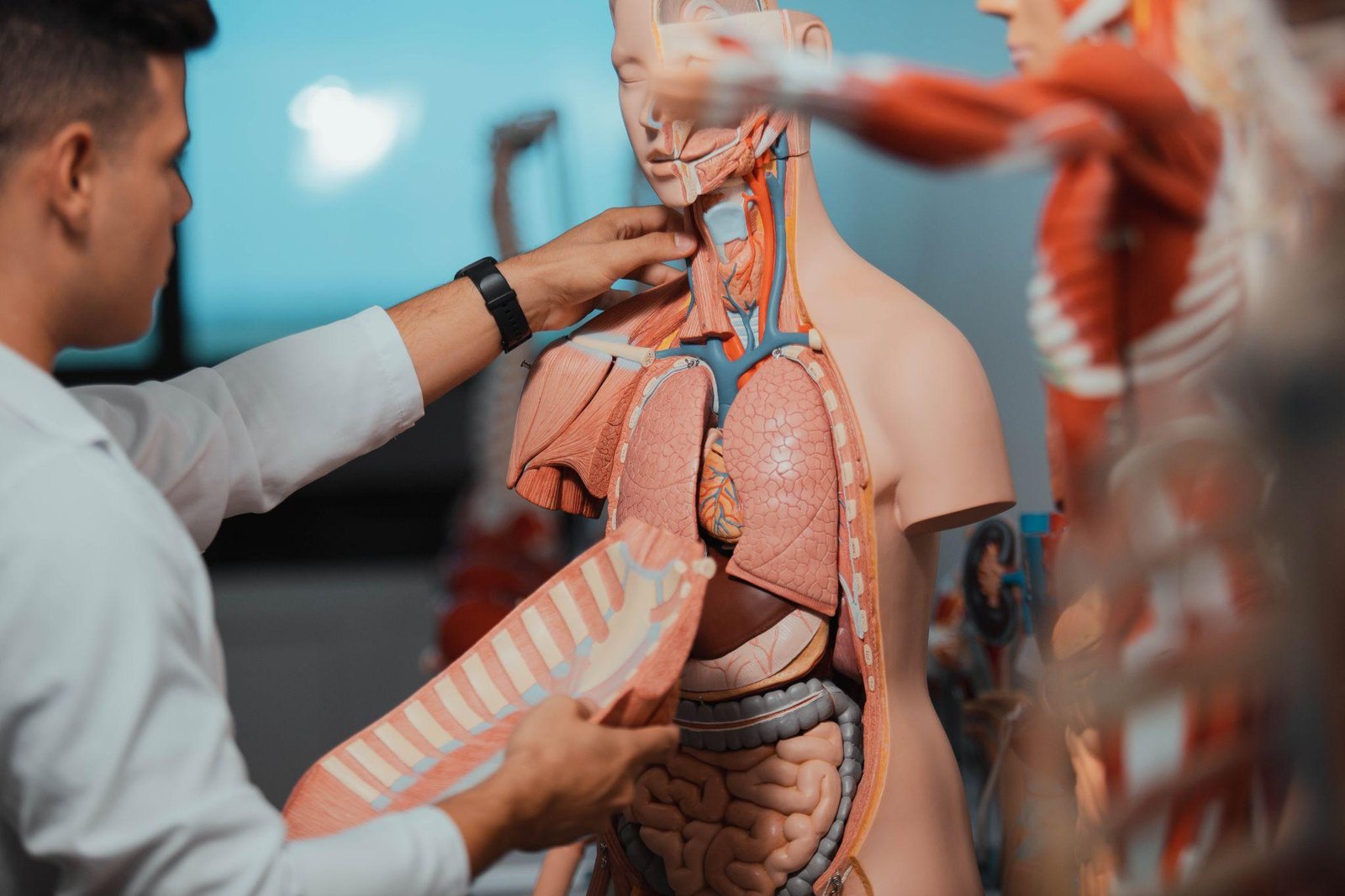 Laboratórios de ciência e prática